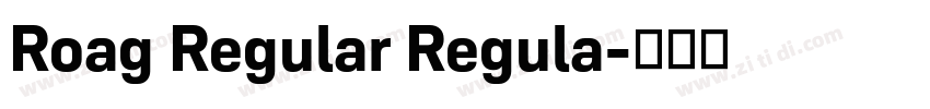 Roag Regular Regula字体转换